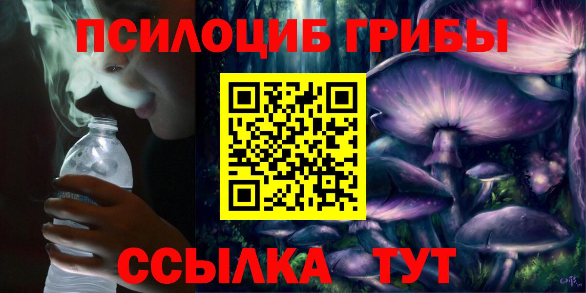Псилоцибиновые грибы Psilocybine cubensis Заинск