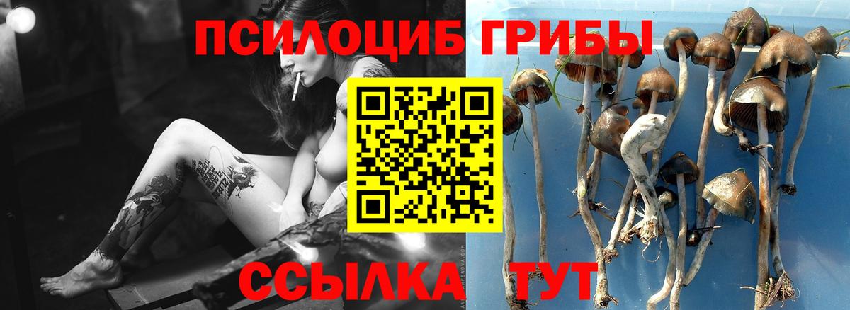 Галлюциногенные грибы мухоморы  Вход с VPN  купить наркоту  Заинск  Галлюциногенные грибы мухоморы 